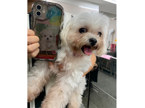 ☆生徒が撮影したモデル犬☆